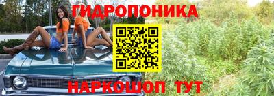 метадон Анжеро-Судженск